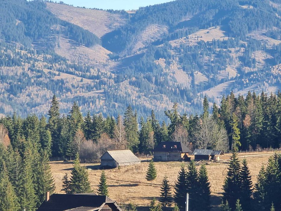 Cazare Cabana la umbra padurii langa Vatra Dornei la Saru Dornei