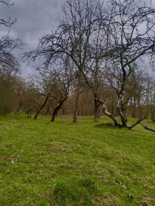 Ocazie! Vand teren Curtea de Arges pentru casa vacanta/ pensiune