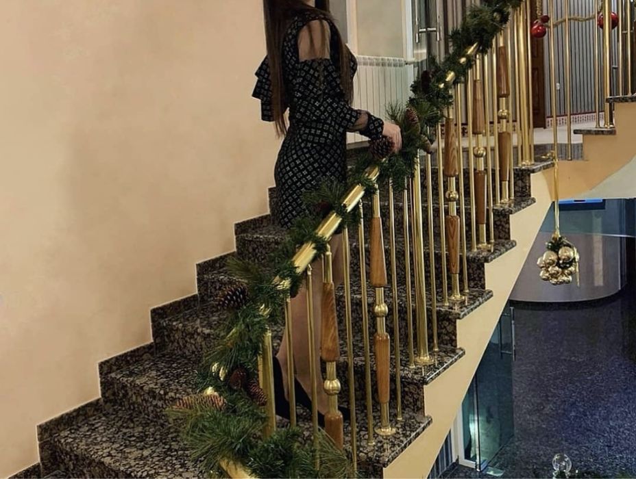 Рокля с блясък / Лъскава рокля с ехирни ръкави