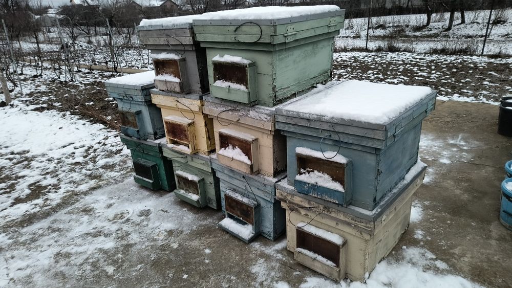 Cutii de stupi de 17 rame 3,3cm grosime