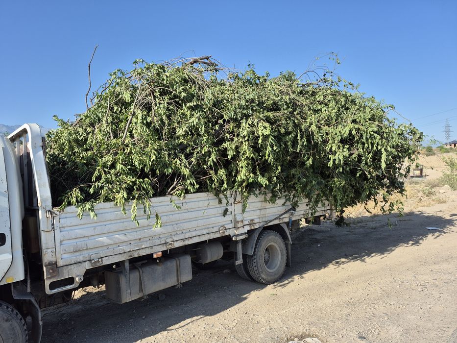 Вывоз мусора 24/7