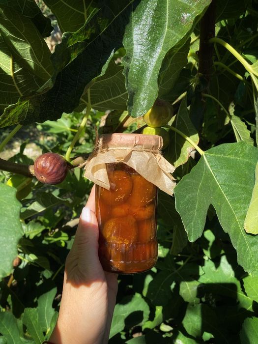 Домашно приготвено сладко от смокини