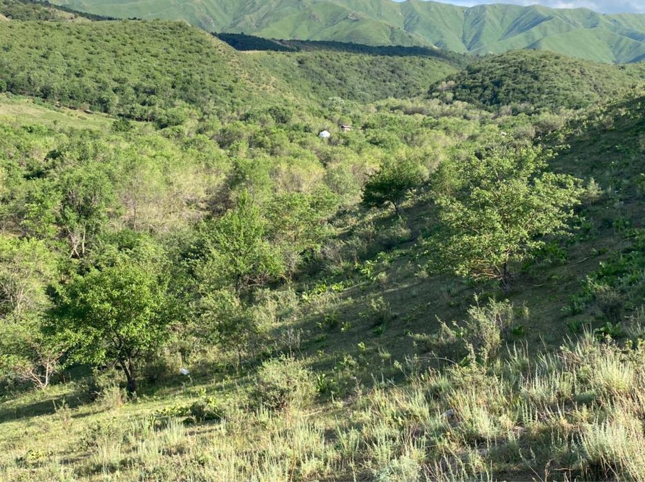 Супер Фазенду продам