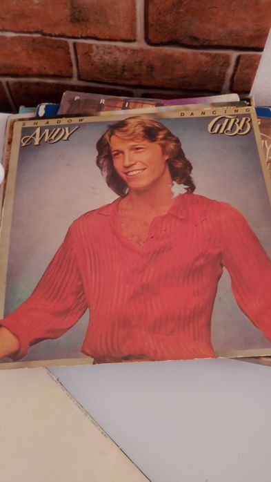 10 discuri (vinil) stare foarte bună!