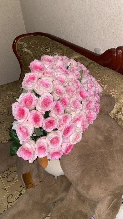 51 штук роза.