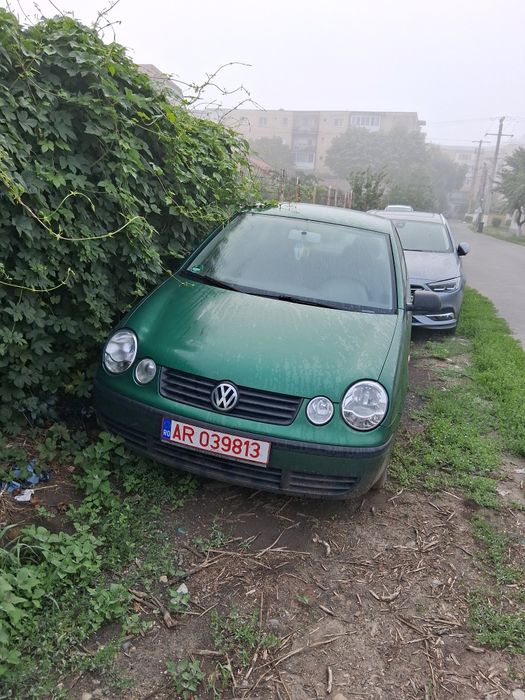 VOLKSWAGEN Polo