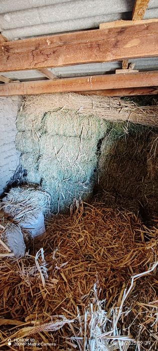 Pres beda va Pres savon