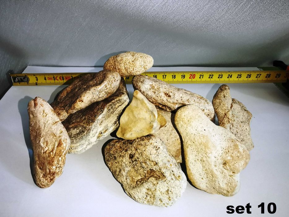 Ornamente naturale (la set) pentru terarii, acvarii, spatii int si ext