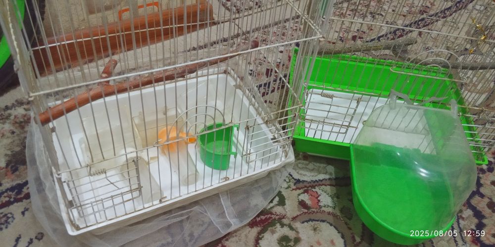 Срочно продается клетка.