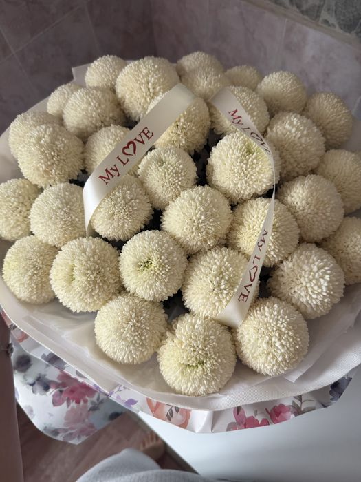 момоко 34 штуккк