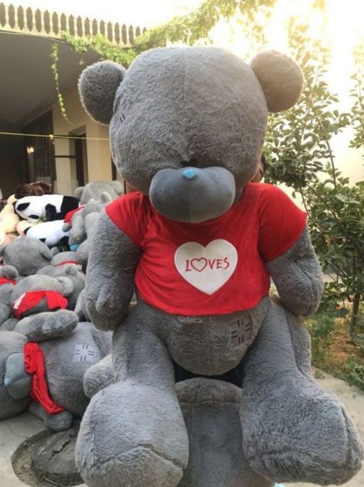 Teddiy Bear  Тедди Тедди (50см  3метр)