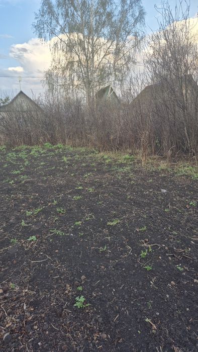 Продам дачу в с/о Ромашка