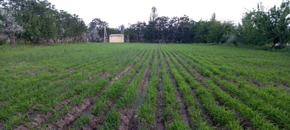 Yer sotiladi do'koni bilan