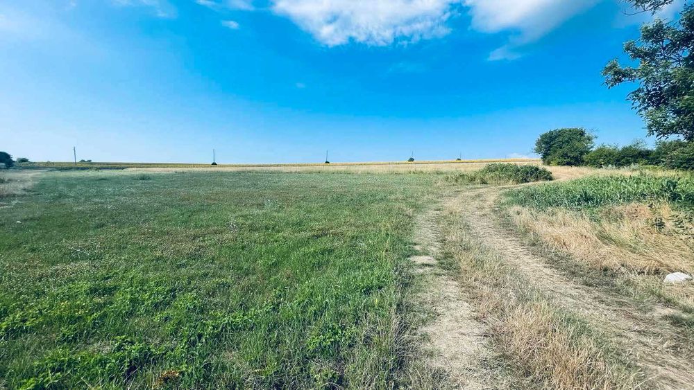 Продава се Парцел в с. Климентово, Област Варна - 1500 кв.м за 10 €/кв.м - Снимка #1