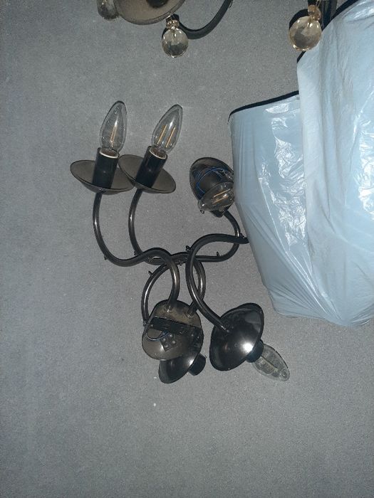 Огромни италиански полилеи