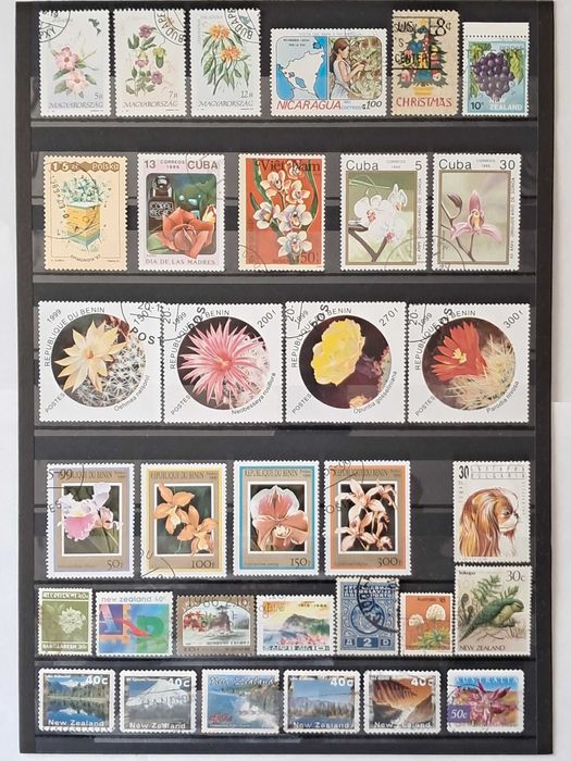 Пощенски марки тема ”Растения”.