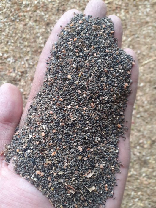 Отходы Отходы  в перемешку для крс мрс лошадей