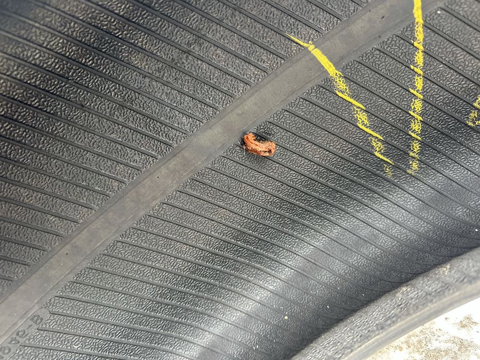 Продам резину пара