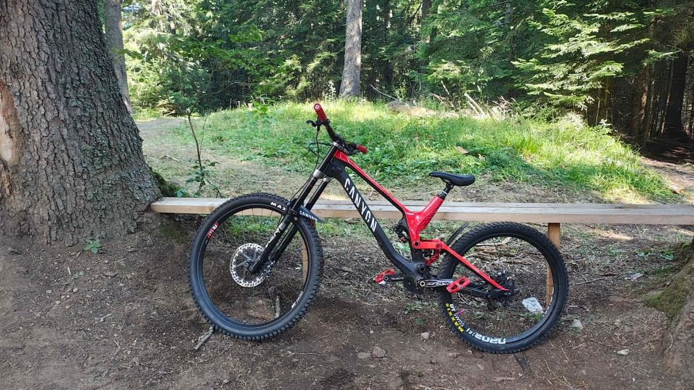 Canyon Sender CF8.0 XL