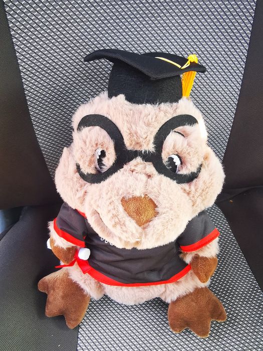 Jucarie Titi Studentul
