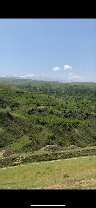 Экскурсия по Узбекистану на Cobalt!