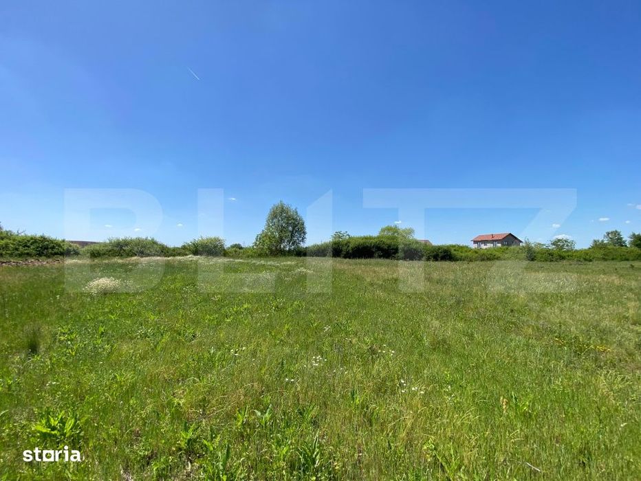 Teren intravilan Mosnita Noua  740mp Front 19m investitie zona  in dez