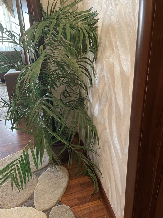 Пальма в вазе