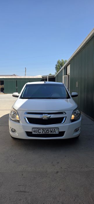 Cobalt oq 2023 ABC bor