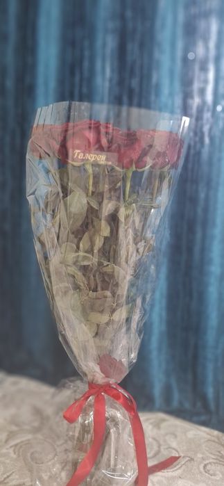 Цветы метровые розы