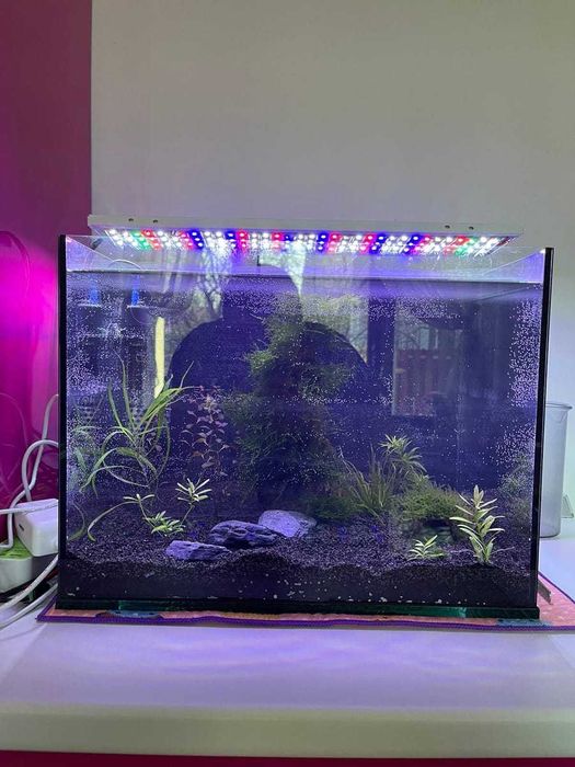 Lampa pentru acvarii plantate