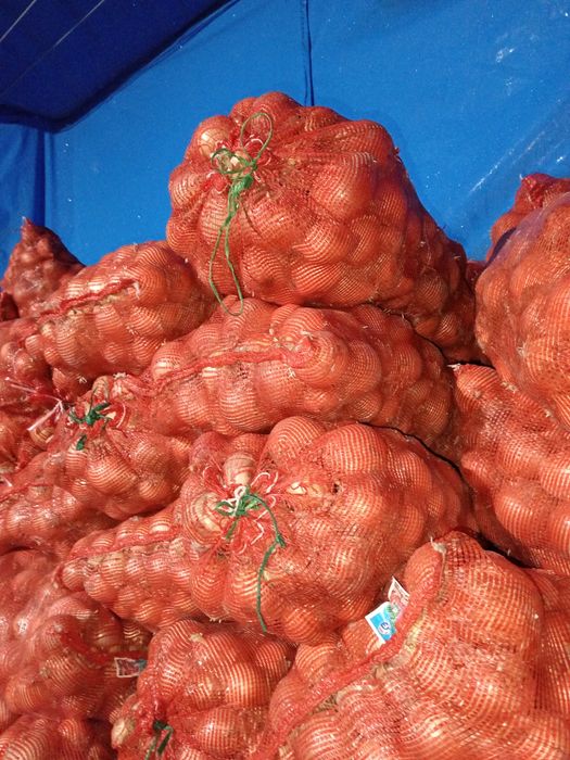 Лук оптом сухой отборный.