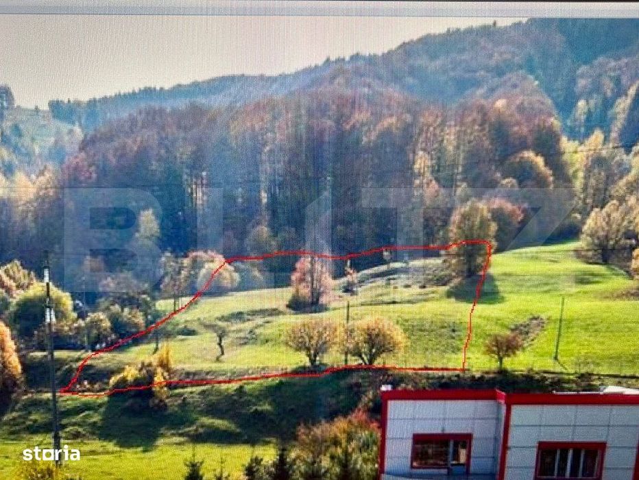 Teren intravilan, Bucsoaia - Frasin, 10000 mp