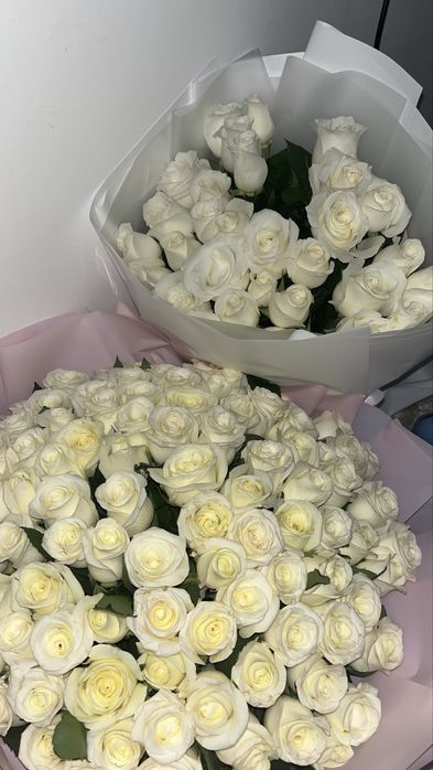 Цветы белые розы продаю