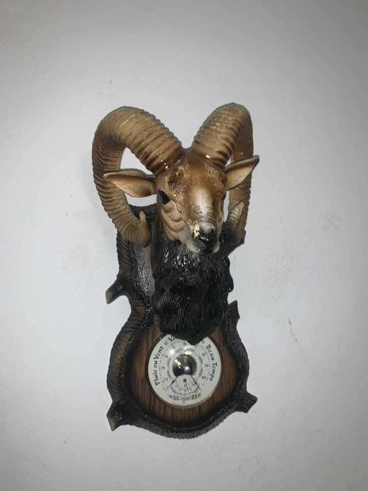 Barunetru cu tenta Tap de munte decor cabana