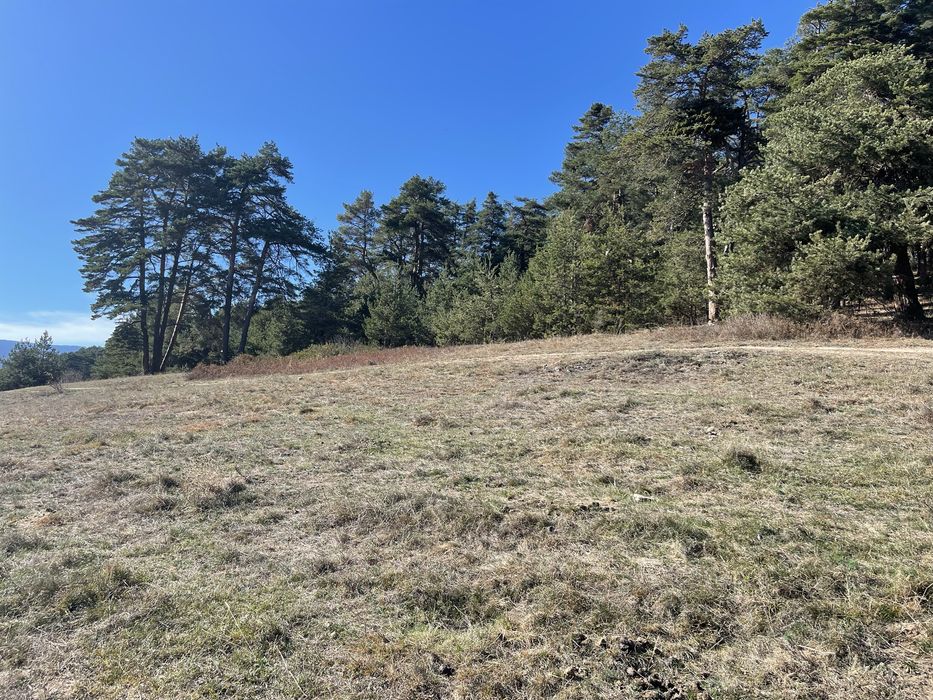 Парцел,земя,град Батак,Цигов Чарк