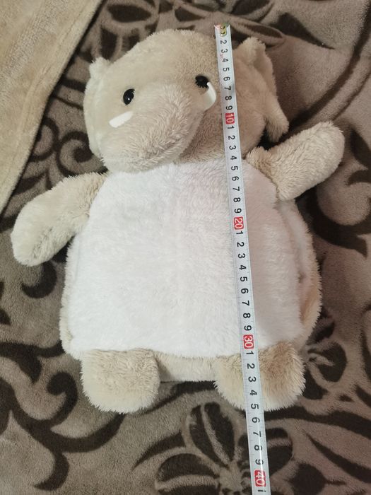 Ghiozdanel cu păturica