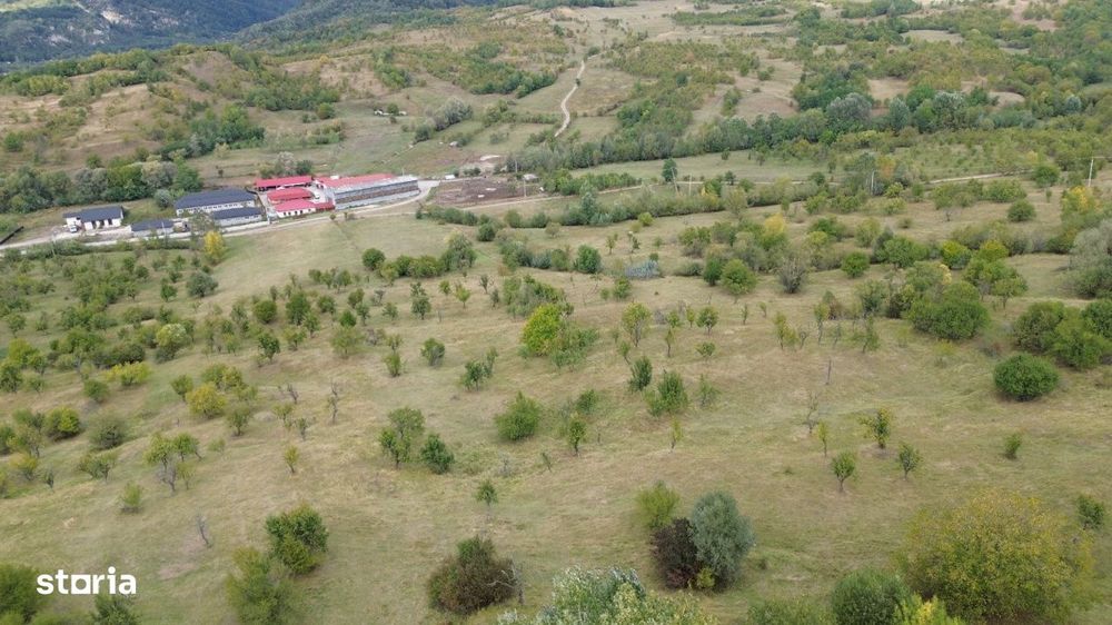 Teren 8.043 mp la DN73C Berevoesti – 3€/mp! Oportunitate rara