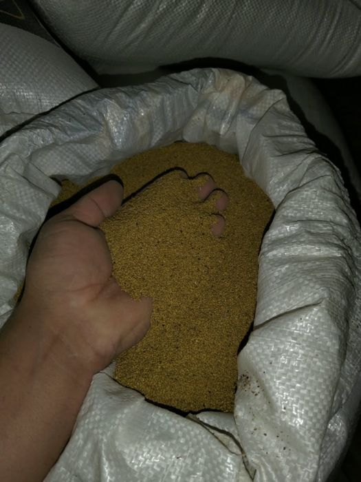 Жоңышқа ұрық сатылады