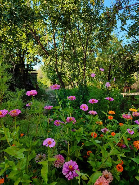 Продаю дом Текели