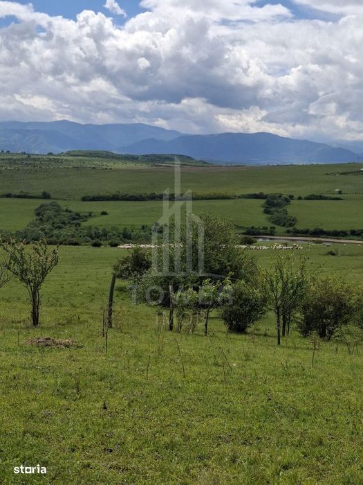 De vanzare, teren 11.500 mp – Dealul Dăii,  Vedere panoramică spre mun