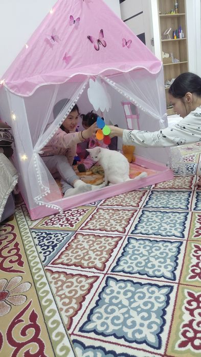 Красивая кошка, в добрые руки отдам