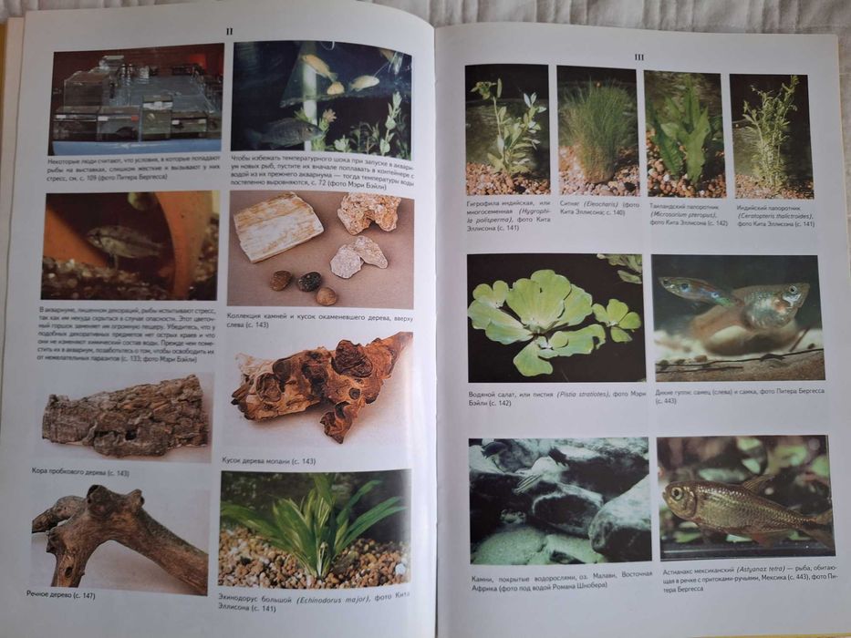 Книга "Аквариумные рыбки"