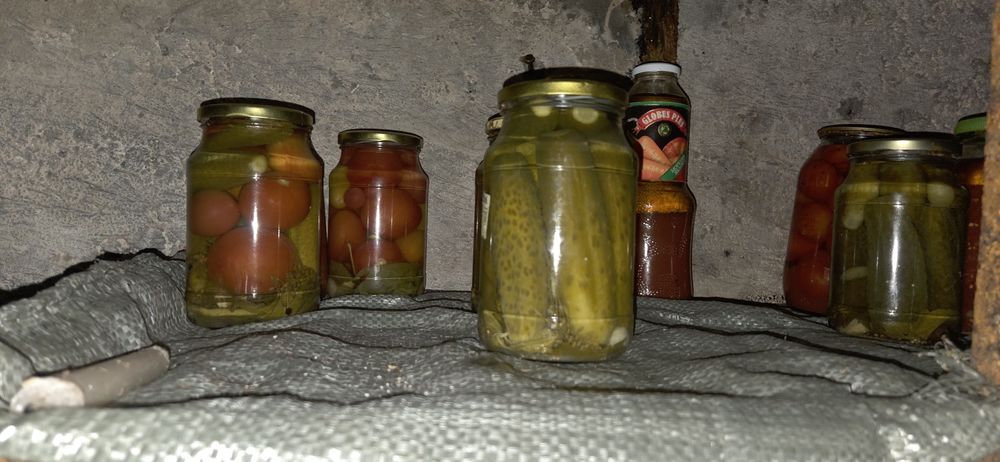 Продам домашнюю засолку