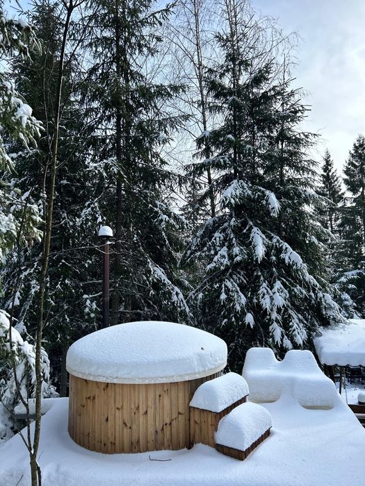 Inchiriez cabana, cu ciubar  Muntele Baisorii,Buscat.