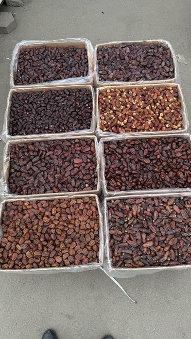 Финики Аджва Саудия