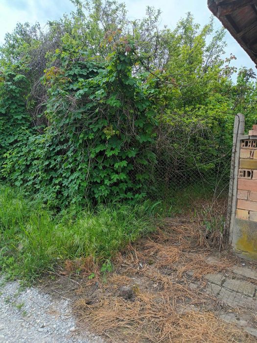 Къща с двор и геран