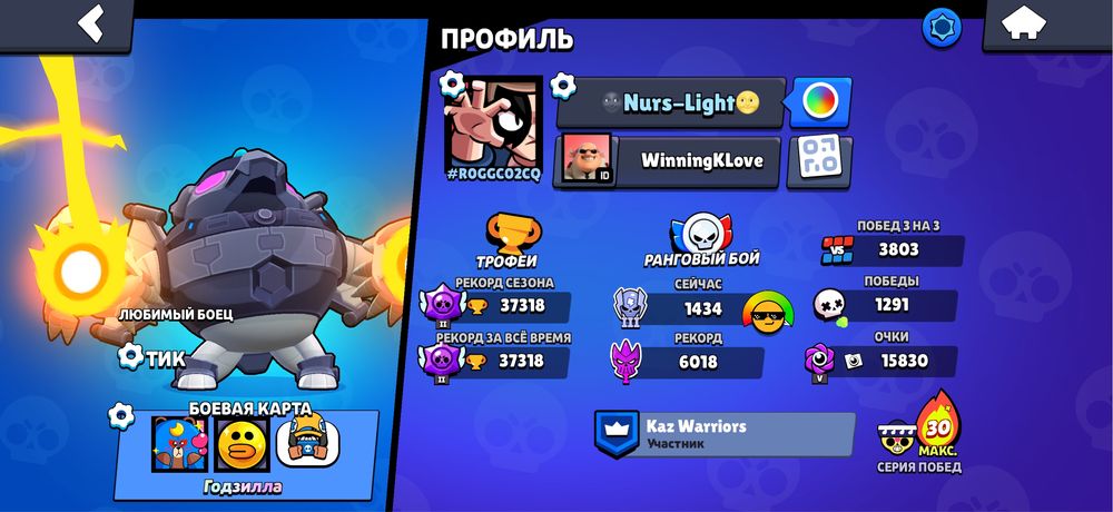 Идиальный акк в бс