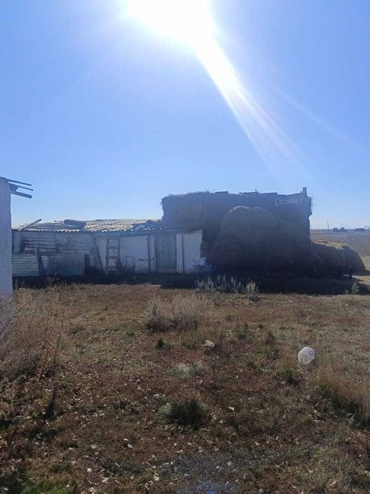 Продам дом в ауле Егемен