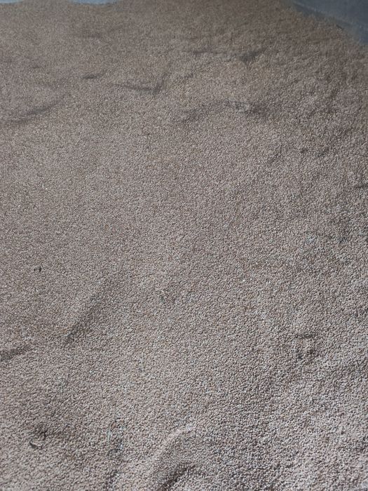 Vând Soia, Porumb, Grâu