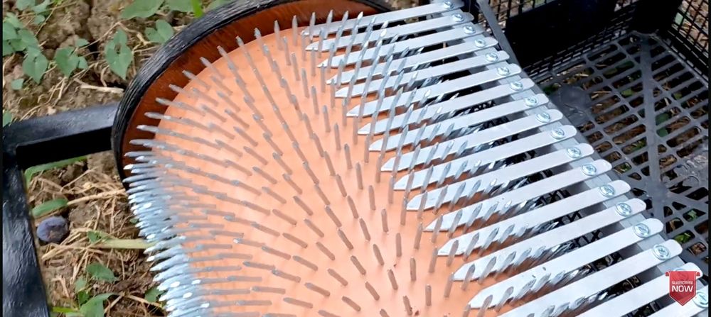 Culegător de fructe